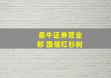 最牛证券营业部 国信红杉树